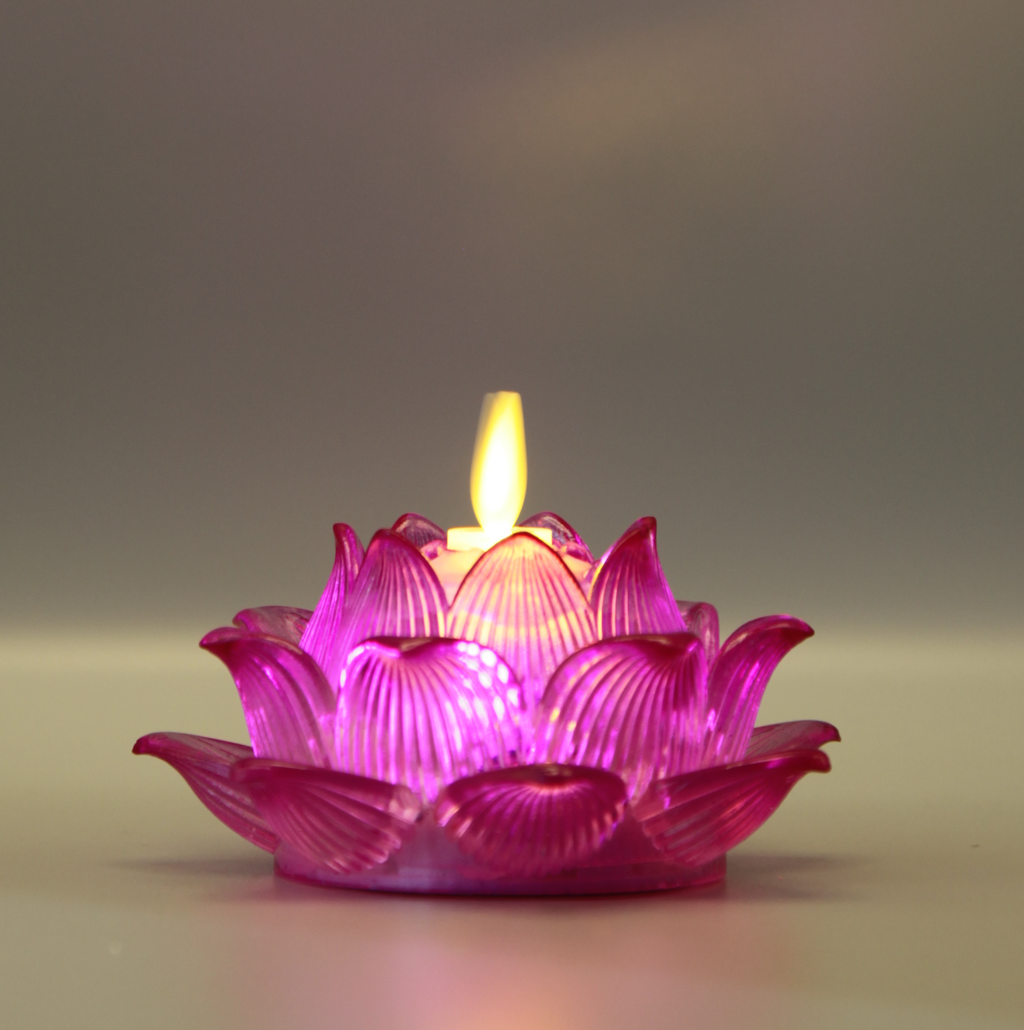 Lotus Bloom Lamp （Classic 2D Wick）